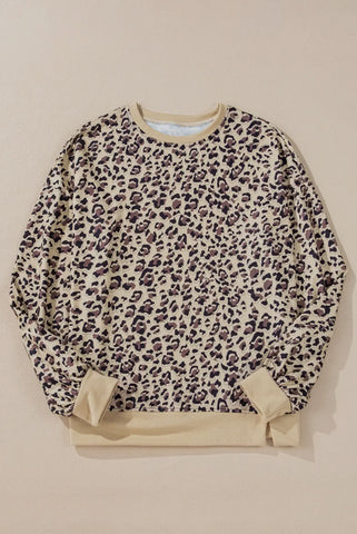 Blouse - Leopard Contrast Trim Crewneck Sweatshirt